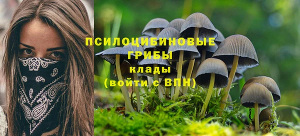 таблы Армянск