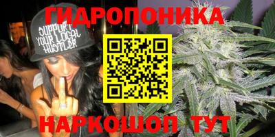 соль ск Братск