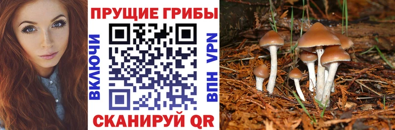 цена наркотик Белебей Псилоцибиновые грибы прущие грибы