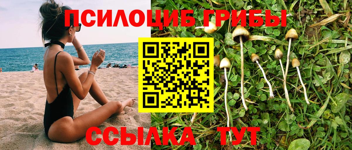 Галлюциногенные грибы Psilocybe  Вход с VPN  Белебей 